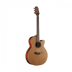 Đàn guitar takamine d2d